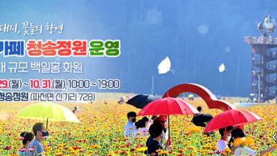 산소카페 청송정원 운영 전국 최대 규모 백일홍 화원 - 경북 청송군 꽃구경 여행 가볼만한곳 [2022.08.29~10.31]