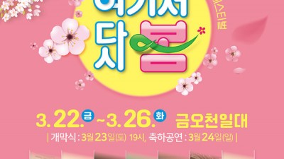 구미 2024 청춘, 금오천 벚꽃 페스티벌  - 구미시 금오천 일원 [2024.03.22(금)~2024.03.26(화)]