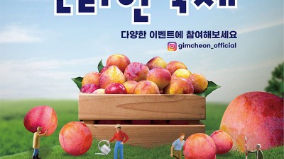 2023 김천 자두 온라인 축제 온라인/오프라인 판매, 대석자두 6.23~27, 포모사자두 7.13~17